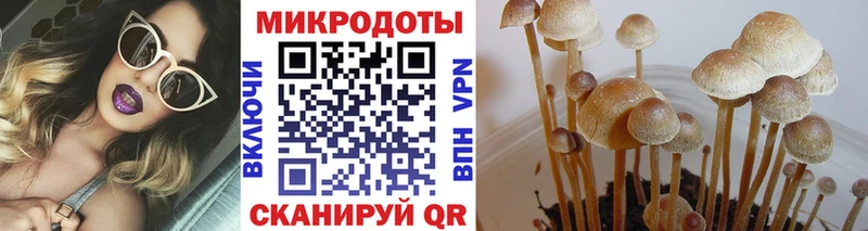 Галлюциногенные грибы мухоморы  где можно купить наркотик  Каргат 