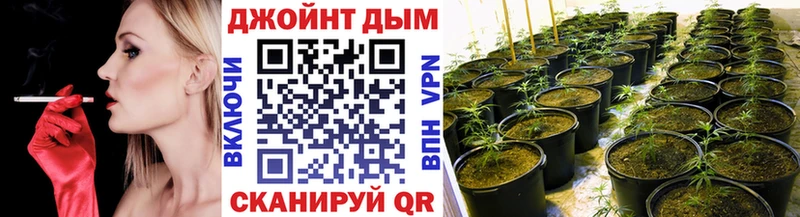 Марихуана гибрид  Каргат 